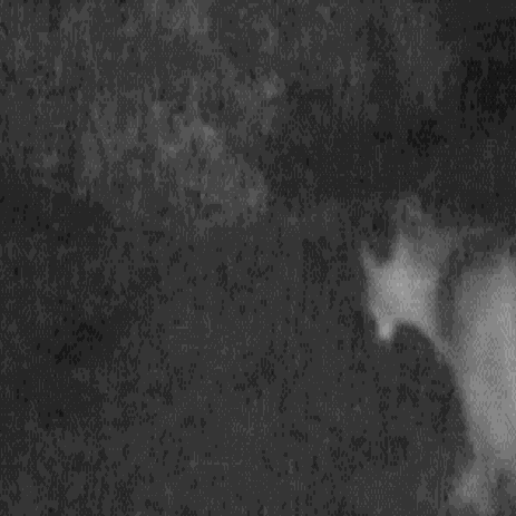 Photo Of Mountain Lion Supposedly In Gretna Was Taken From Old Youtube Video Officials Say Nebraska News Journalstar Com