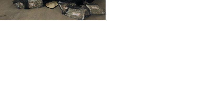 Oregon man caught trafficking 500 pounds of pot: 'I have questions in my case' - Vimarsana News