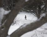 Top Journal Star photos for February