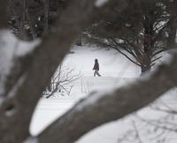 Top Journal Star photos for February