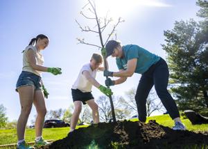 Lincoln-based Arbor Day Foundation celebrates another year of planting trees