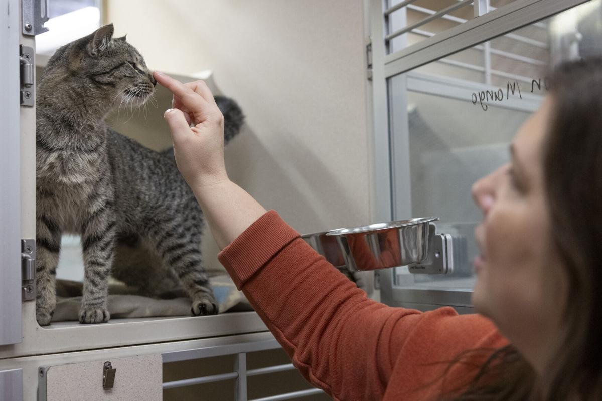 Humane Society, 1.9
