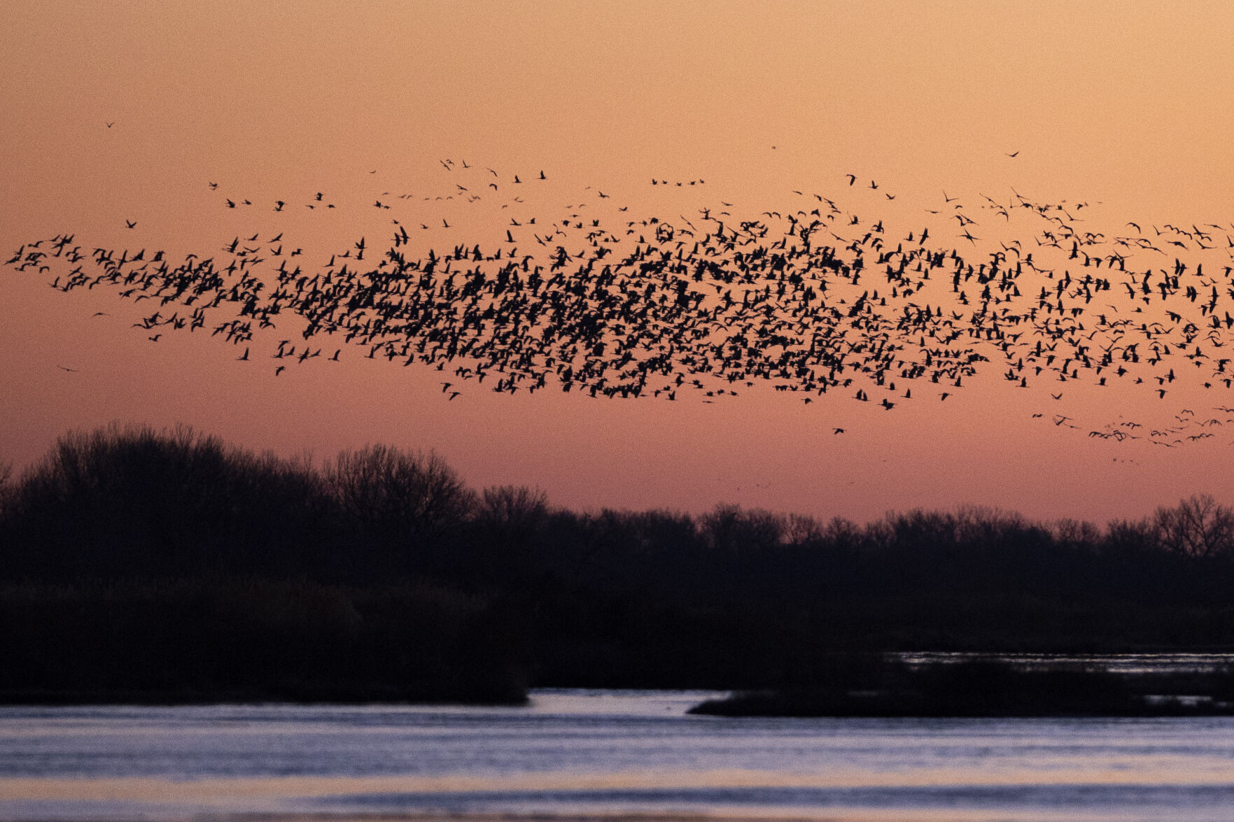 AARP Wish of a Lifetime Lincoln man sees crane migration