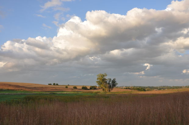 Glacier Creek Preserve