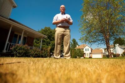 Dying Lawn 8.19.2012