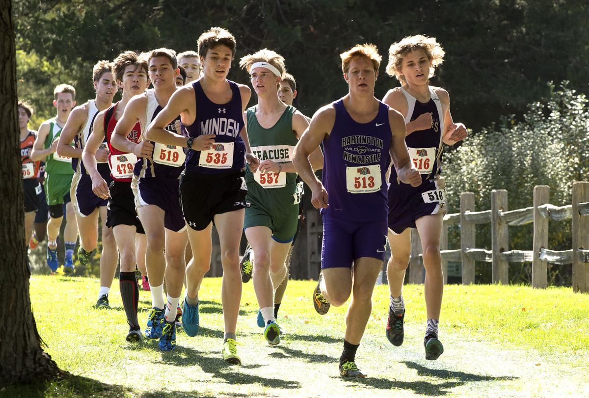 Photos Harriers run and run and run to gold at state cross country