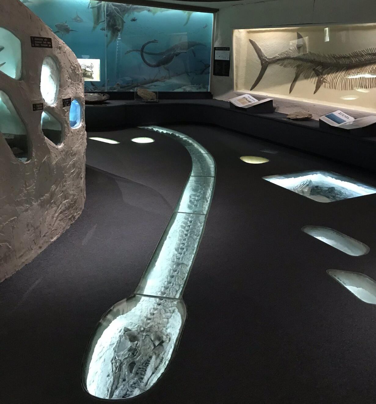 Styxosaurus rezaci