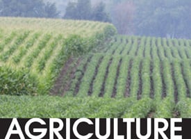 Agriculture logo