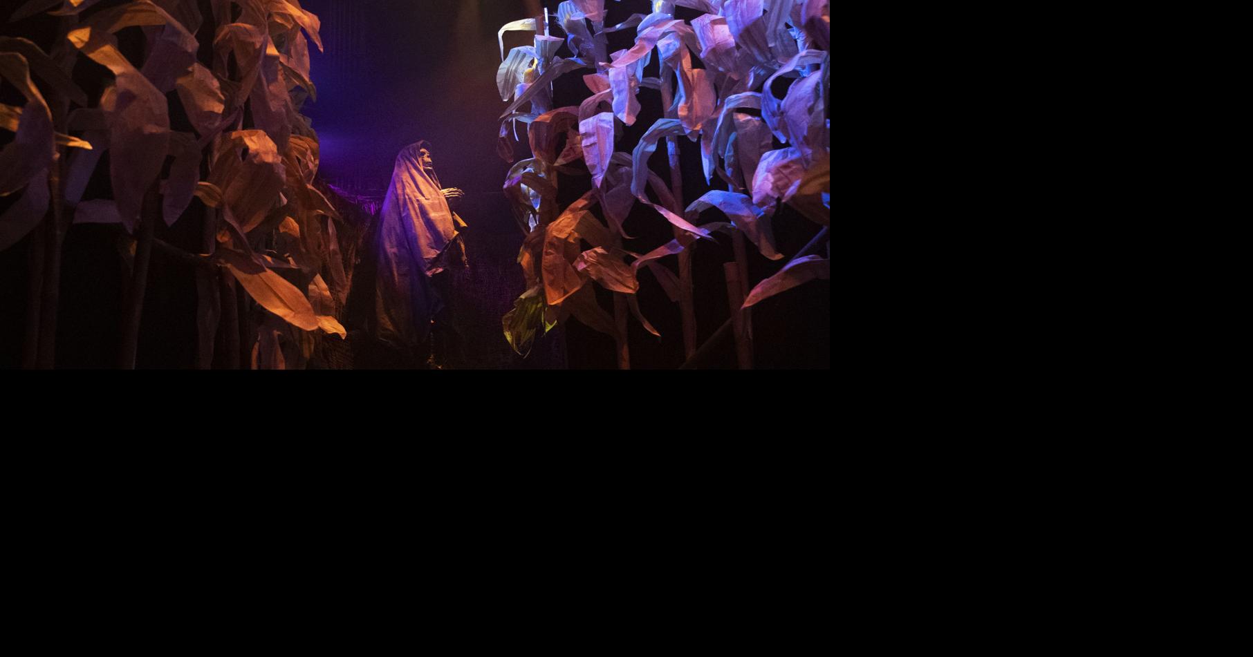 Lincoln's newest haunted attraction brings fright from the Bard - Lincoln Journal Star