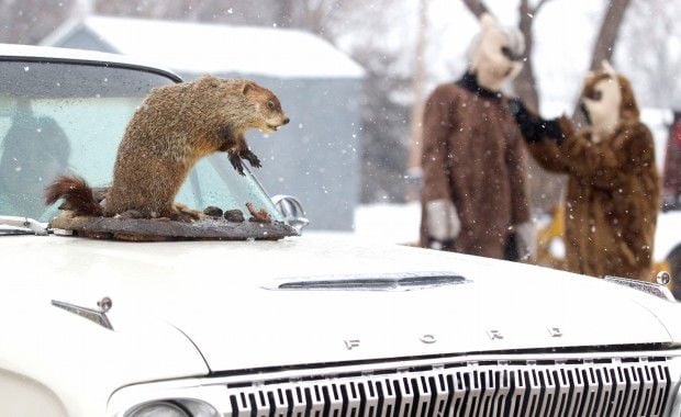 Groundhog day 2.4.2012