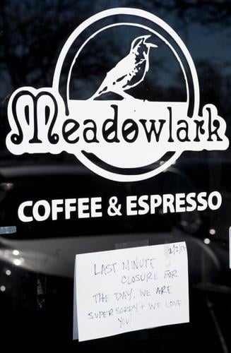 Meadowlark