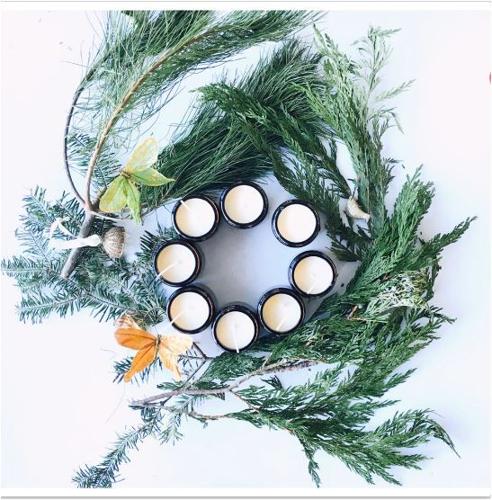 fir tree.JPG