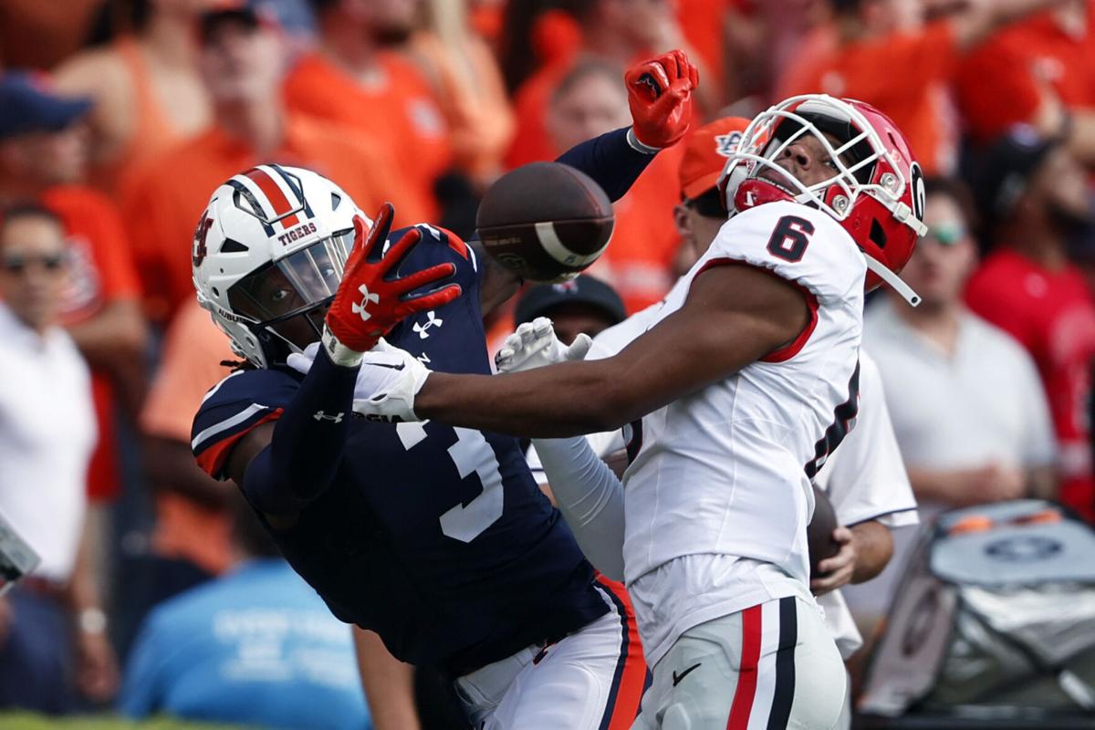 My Life With Auburn: Tight end Robert Johnson