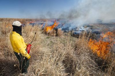 Prescribed burn