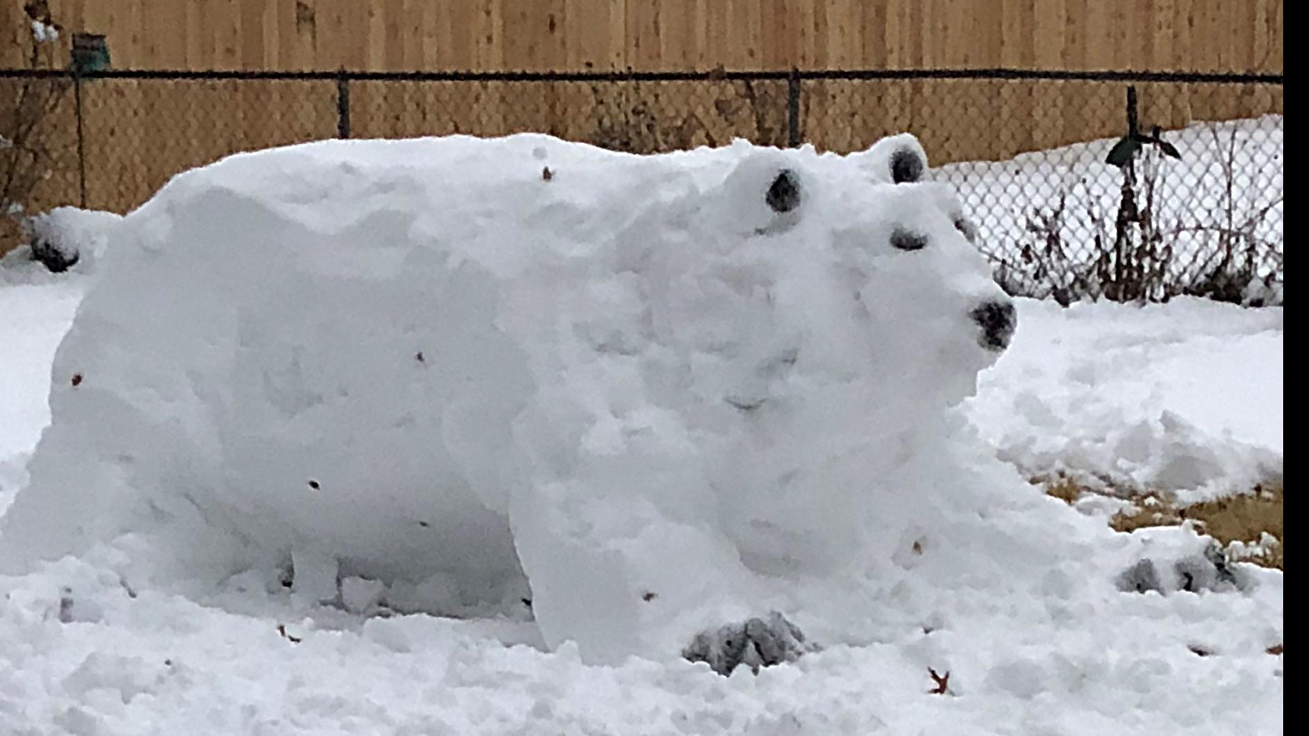 Cindy Lange Kubick Dear Winter Of 2019 So Nice To Know You
