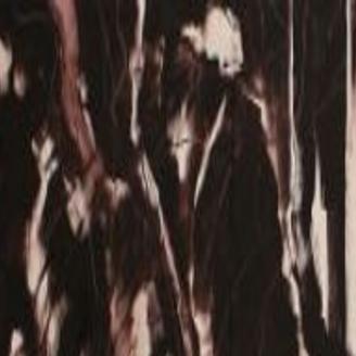 L Kent Wolgamott Dan Howard S All New Final Large Exhibition