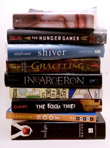 YA Books by Erin