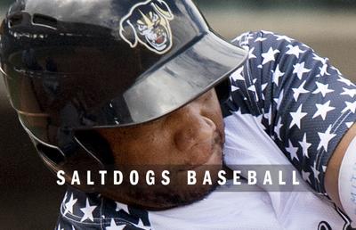 Lincoln Saltdogs baseball logo 2014