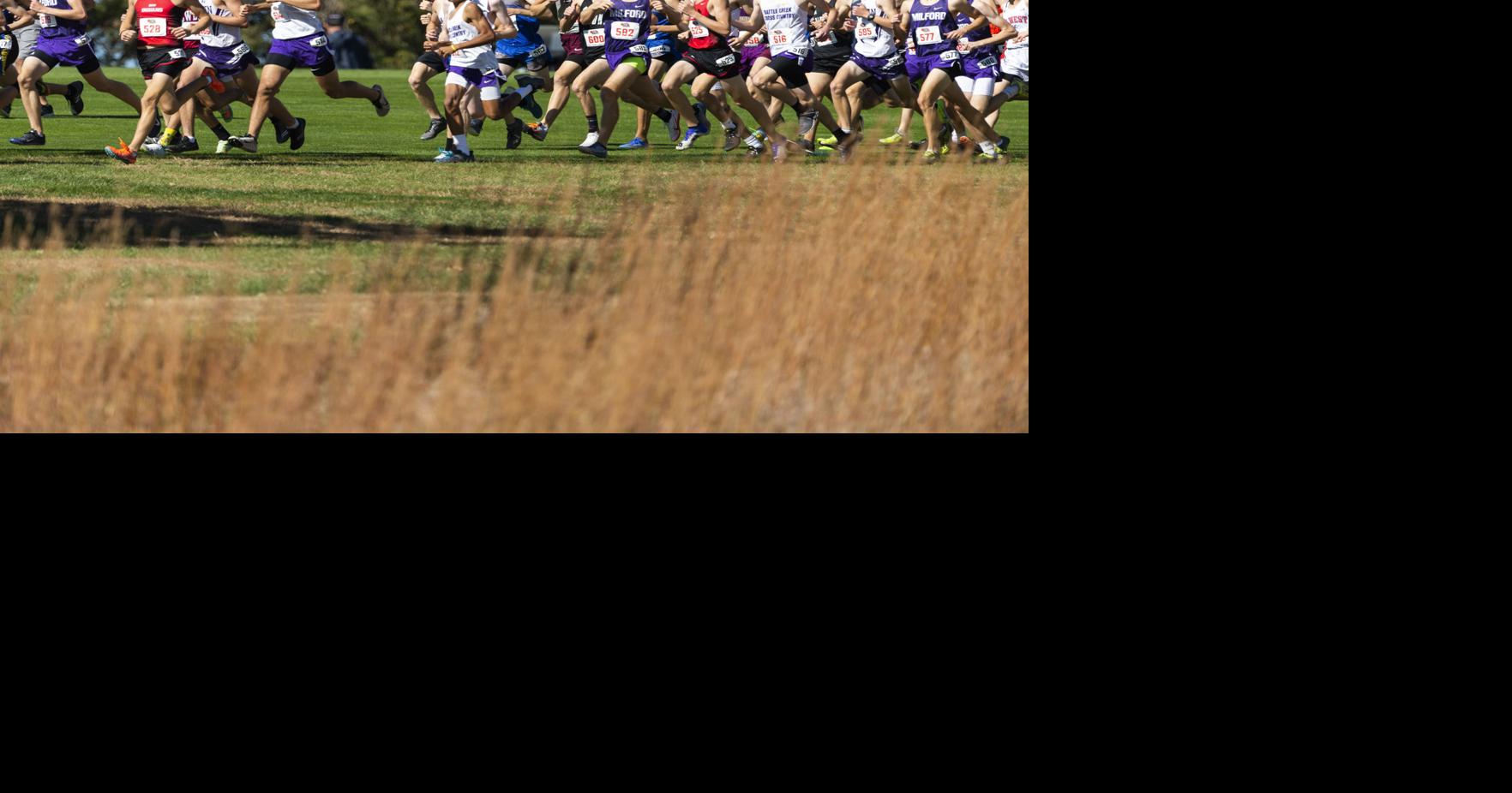 State cross country: Hinrichs wins all-class gold; Noecker excels on ...