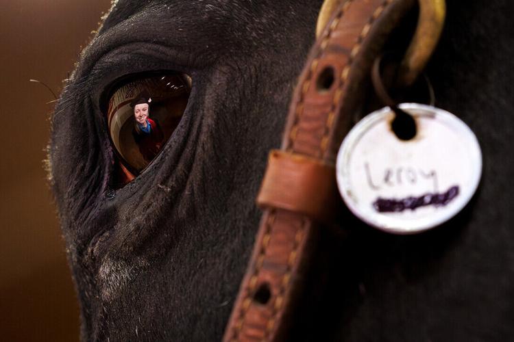 Equestrian Team helped Velinsky gallop into career