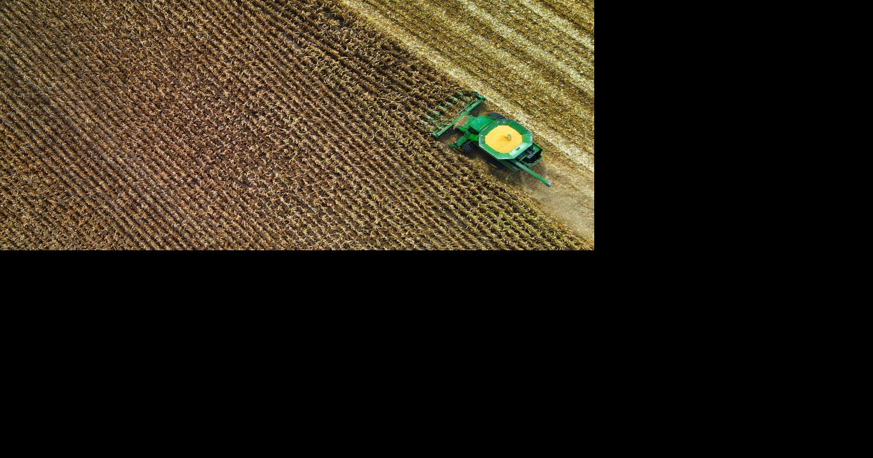 Farm and Food: Maybe the 'party of limited government' should focus on ...