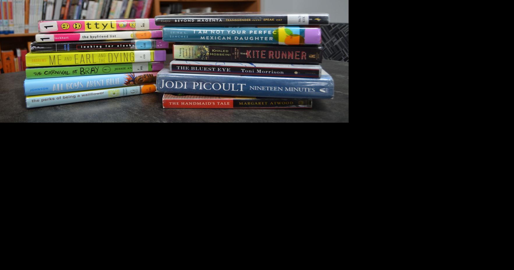 Book-banning advocates seek elected power as book challenges near fever pitch