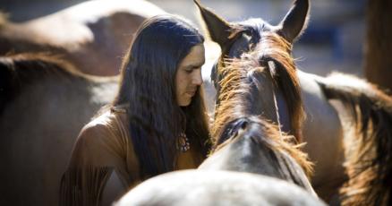 Study Horses came to American West by early 1600s Study Horses came to American West by early 1600s