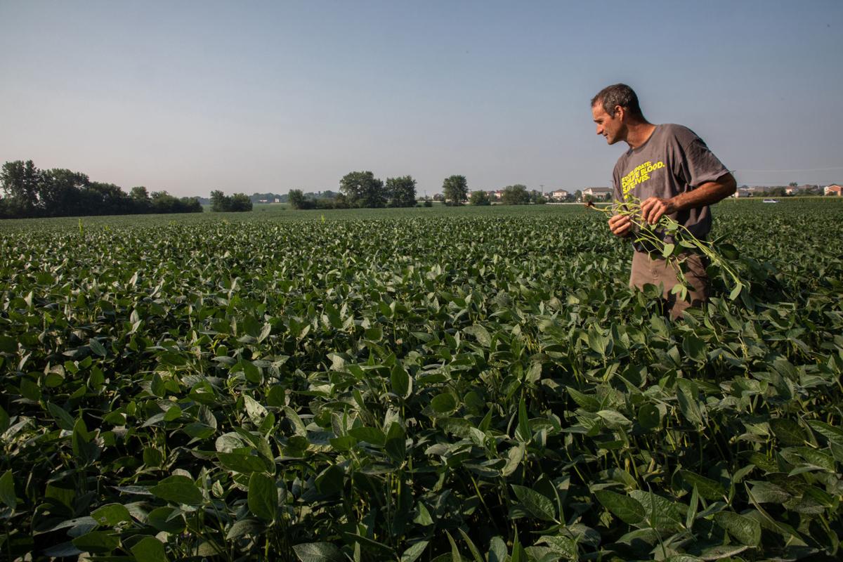 BIZ-FARM-SOYBEAN-TRADE-LA