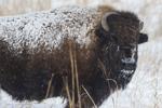 Top Journal Star photos for February