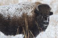 Top Journal Star photos for February