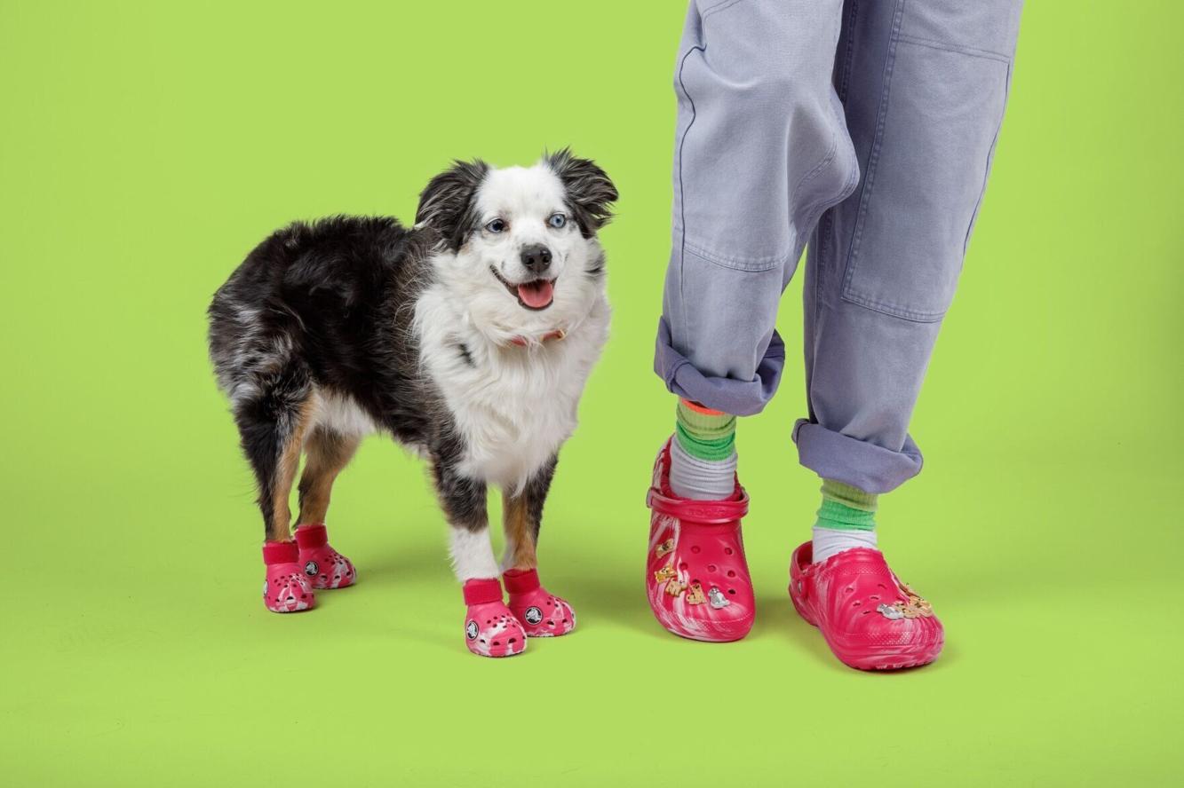 Crocs releases line of clogs for dogs