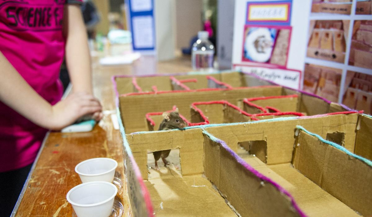 Lincoln students explore climate change, infinity at 24th annual