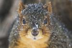Top Journal Star photos for February