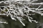 Top Journal Star photos for February