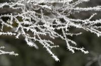 Top Journal Star photos for February