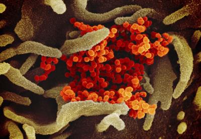 Coronavirus Outbreak