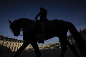 Horses show off in Versailles, keeping alive royal tradition