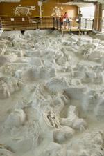 Ashfall Fossil Beds