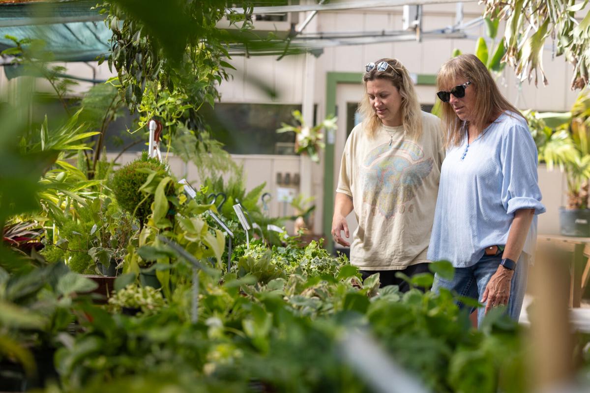 Campbell's Nurseries Location closing, 6.12