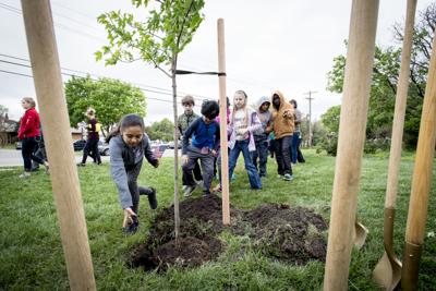 Arbor Day