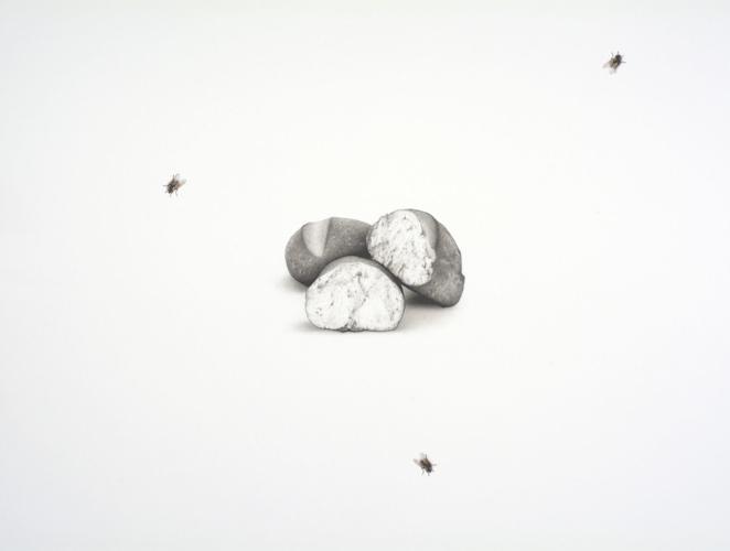 Bread and Flies