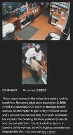 Want Your Bad Romance