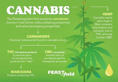 Cannabis chart