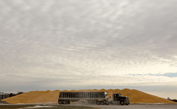 Truck in front of grain pile