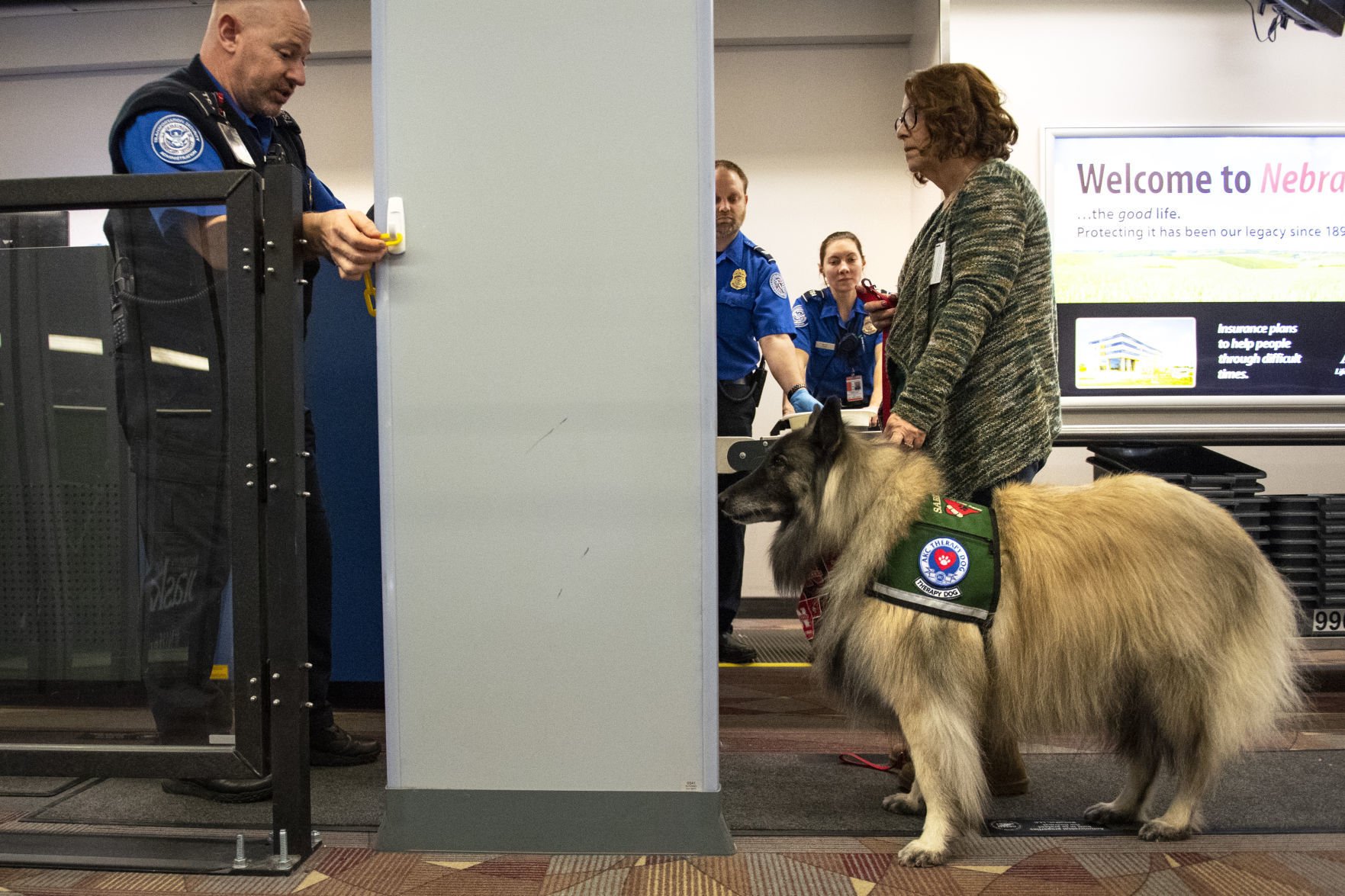 therapy dog flight