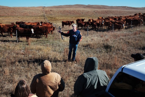 NU's ranch school in the Sandhills melds research with real-world ...
