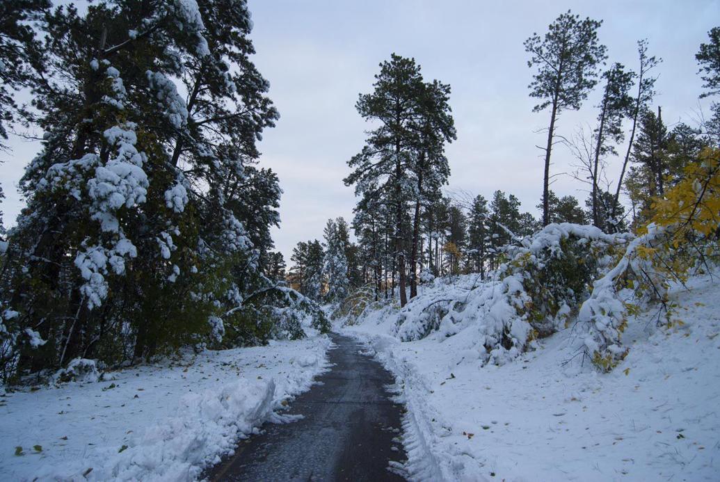 It's here: Beautiful winter scenes in Nebraska | Nebraska News
