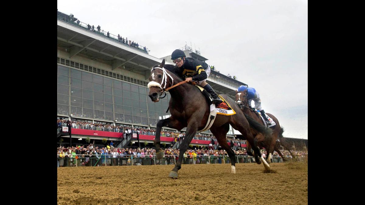 Jacksons start first Preakness Stakes runner, Divining Rod, since