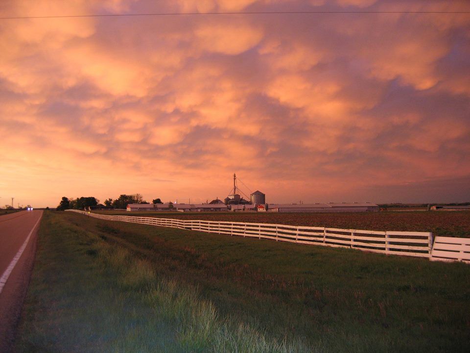 Waldo Genetics loses feed mill in fire