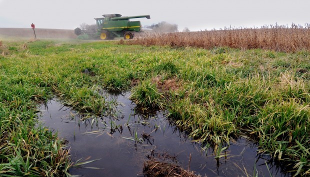 Wet harvest